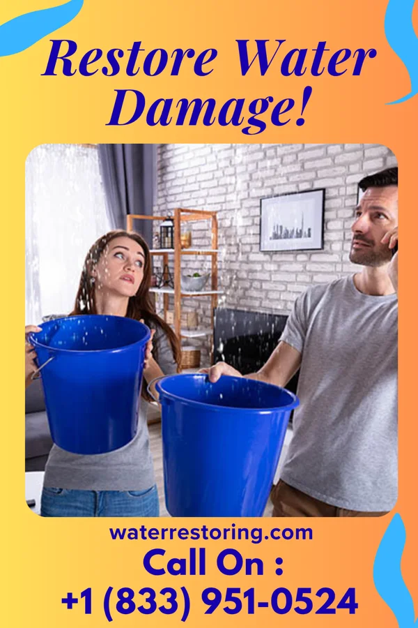 water restoration Premier Water Works LLC Houston