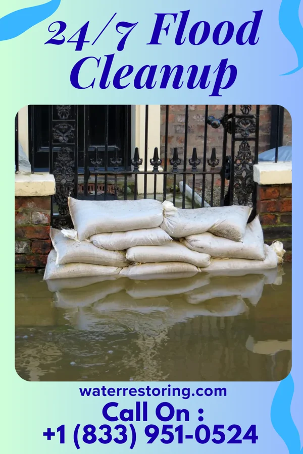 24/7 Flood Cleanup in Houston, DE